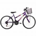 Bicicleta Feminina Aro 26 Mountain Bike Com Cesta - Violeta