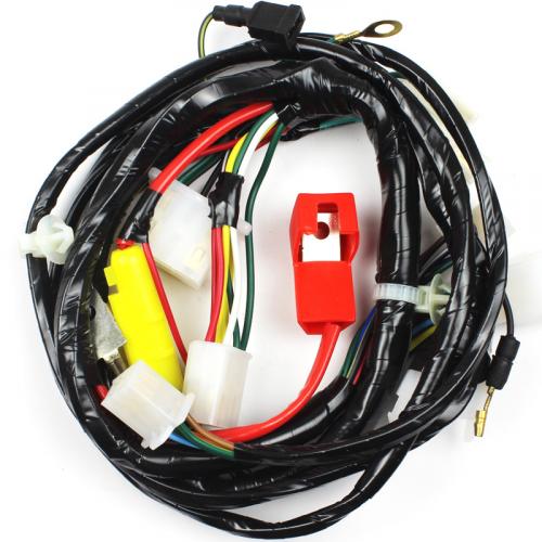 Fiação Chicote Principal - Magnetron -  Biz 100 KS 1998 Até 1999